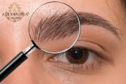 artistryeyebrow_19