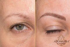 artistryeyebrow_01