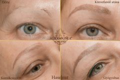artistryeyebrow_02