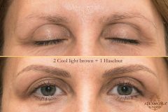 artistryeyebrow_03