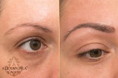 artistryeyebrow_06