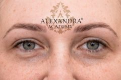 artistryeyebrow_13