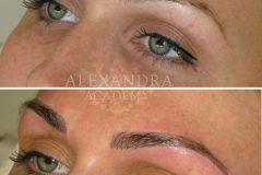 artistryeyebrow_25
